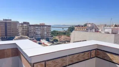 Pis – Torrevieja - Vista 3