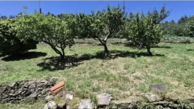 Rustic house in Aspera (Cesullas) photo 29