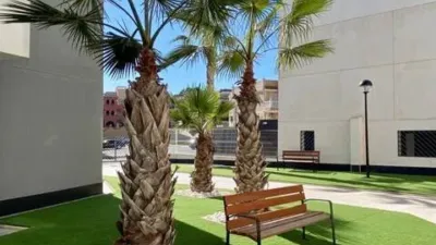 Pis – Orihuela - Més