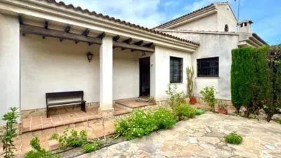 Chalet in Alicante - Alacant photo 31