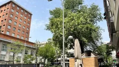 Apartment for Sale photo 11