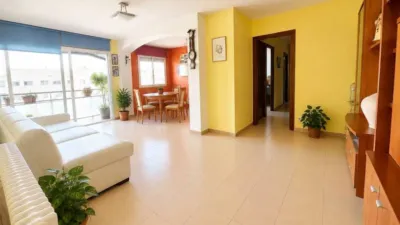 Apartment in Palafrugell Poble photo 5
