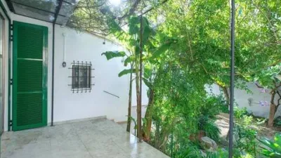 Apartment in Pere Garau photo 4