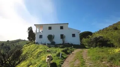 Rustic property in Almogía photo 2