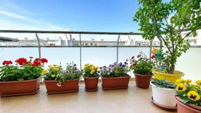 Apartment in Palafrugell Poble photo 3