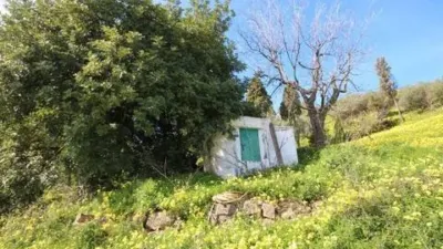 Rustic property in Almogía photo 15