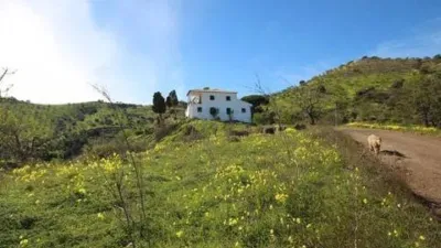 Rustic property in Almogía photo 18