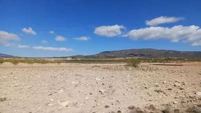 Terreno en venta en El Pinós - Pinoso - Vista 4