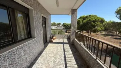 Apartment on Urbanizacion Costa Bella-La Marina Street, 34 photo 9