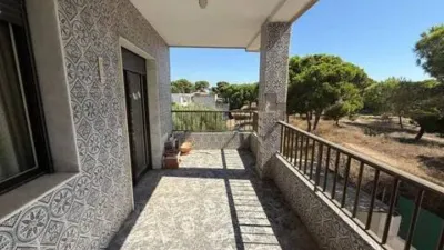 Apartment on Urbanizacion Costa Bella-La Marina Street, 34 photo 12
