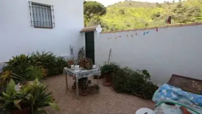 Rustic property in Almogía photo 22