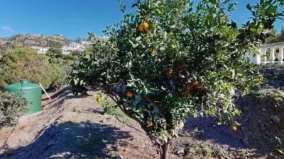 Chalet en Algarrobo photo 34