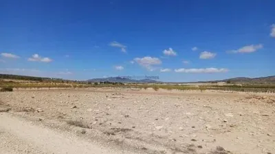 Terreno en venta en El Pinós - Pinoso - Vista 5