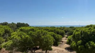 Piso – Guardamar del Segura, Costa Bella - Vista 2