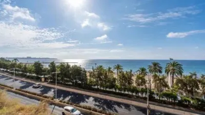 Apartment in Raval Roig photo 35