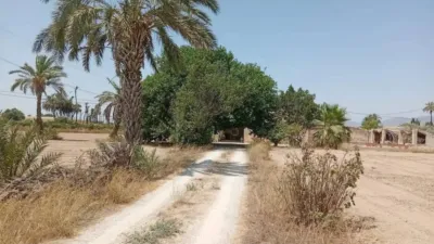 Casa – Elx - Elche - Més