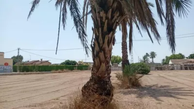 Casa – Elx - Elche - Vista 4