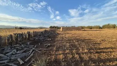 Rustic house in Muro photo 10