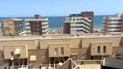 Piso – Elx - Elche - Más