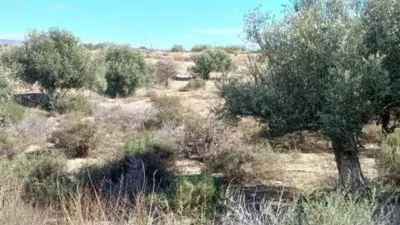 Rustic house in Taberno photo 18