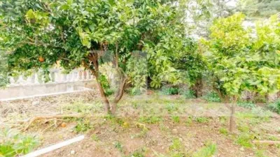 Chalet on Carrer de Bellvei photo 32