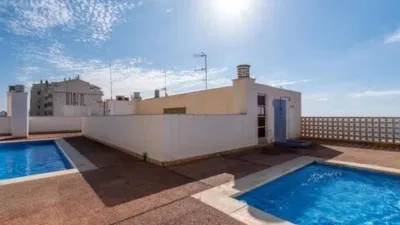 Apartment in Raval Roig photo 32