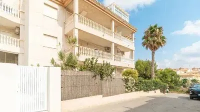 Pis – Orihuela - Vista 4