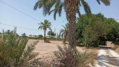 Casa – Elx - Elche - Vista 3