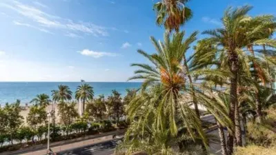 Apartment in Raval Roig photo 34
