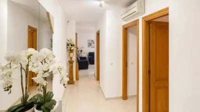 Ground floor flat in Santa Margalida photo 9