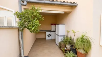 Ground floor flat in Santa Margalida photo 4