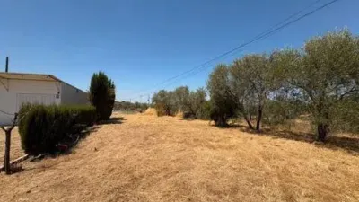 Rustic house in Fuente Palmera photo 46