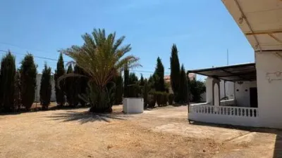 Rustic house in Fuente Palmera photo 47