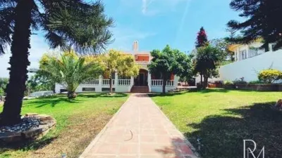 Chalet in Manantiales-Cortijos del Sol-Fuensanguínea photo 2