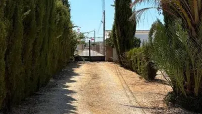 Rustic house in Fuente Palmera photo 54