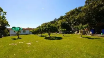 Chalet in Isla Playa photo 49