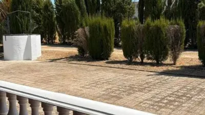 Rustic house in Fuente Palmera photo 51