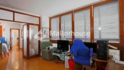 Apartment in Santa Margalida photo 5