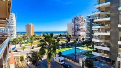 Pis – Alacant / Alicante, l'Alacantí - Més