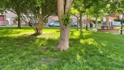 Apartment in Villava - Atarrabia photo 25