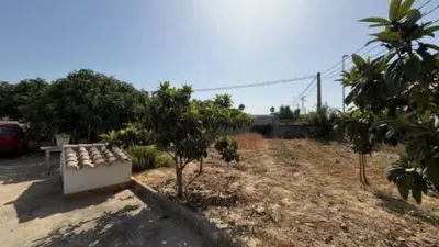 Chalet in Chiclana de la Frontera photo 3