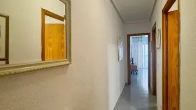 Apartment in Torrevieja photo 12