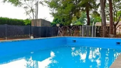 Piso – el Pinós / Pinoso - Vista 2