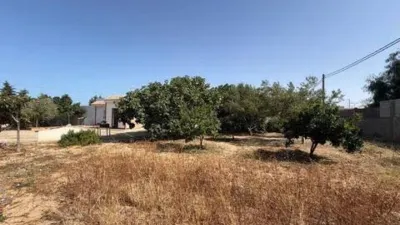 Chalet in Chiclana de la Frontera photo 4