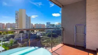 Pis – Alacant / Alicante, l'Alacantí - Vista 3