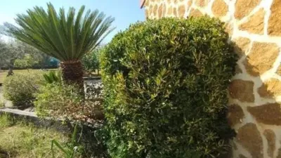 Chalet in Cortijo de La Torre photo 34