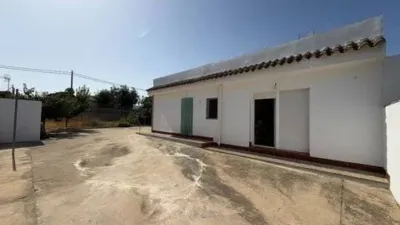 Chalet in Chiclana de la Frontera photo 20