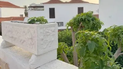 Apartment on Calle Victor Zurita Soler photo 27