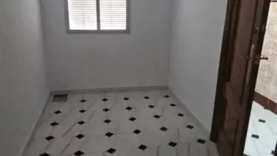 Miniatura 12
