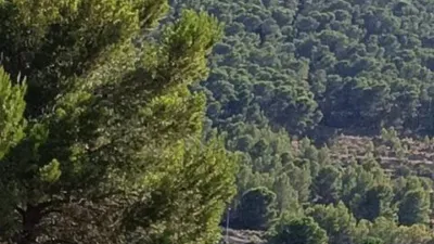 Chalet en Tibi photo 4